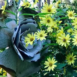 Meet your Posher, Wendy